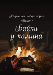 Агнес Госсен - Байки у камина. Карантин-2020