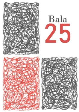 Bala 25 обложка книги