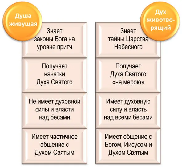 Рис 4 Отличия духовного и душевного человека 5 Пятая тайна открывает - фото 4