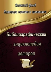 Эльвира Шабаева - Библиографическая энциклопедия авторов