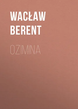 Wacław Berent Ozimina обложка книги