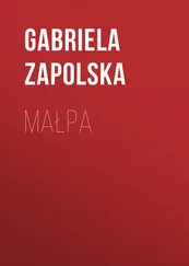 Gabriela Zapolska - Małpa