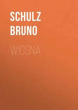 Schulz Bruno Wiosna обложка книги