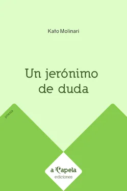 Kato Molinari Un jerónimo de duda обложка книги