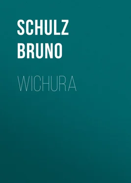 Schulz Bruno Wichura обложка книги