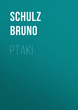 Schulz Bruno Ptaki обложка книги