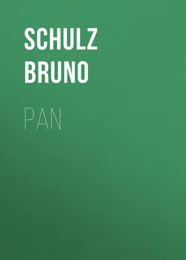 Schulz Bruno Pan обложка книги