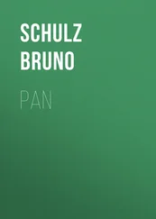 Schulz Bruno - Pan