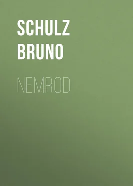 Schulz Bruno Nemrod обложка книги