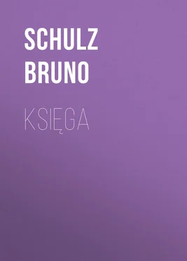 Schulz Bruno Księga обложка книги