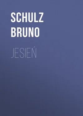 Schulz Bruno Jesień обложка книги