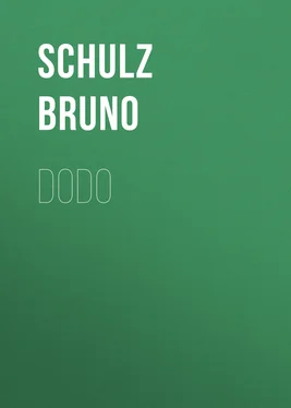 Schulz Bruno Dodo обложка книги