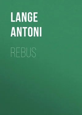 Lange Antoni Rebus обложка книги
