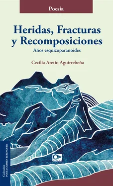 Cecilia Aretio Heridas, fracturas y recomposiciones обложка книги