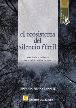 Eduardo Meana Laporte El ecosistema del silencio fértil обложка книги