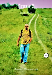 Леонид Машинский - Стези 2