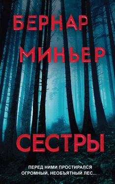 Бернар Миньер Сестры обложка книги