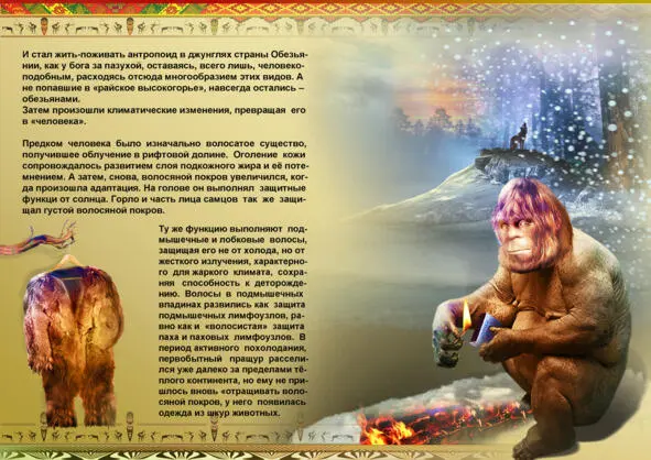 Горло и часть лица самцов так же защищал густой волосяной покров Ту же функцию - фото 6
