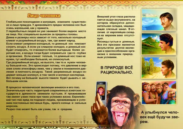 У древнейшего предка человека нос был очень маленький как у примата У - фото 7