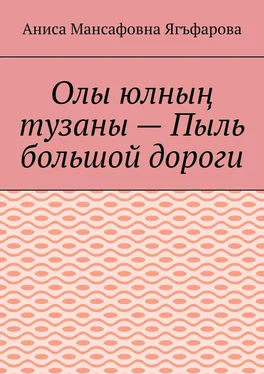 Аниса Ягъфарова Олы юлның тузаны – Пыль большой дороги обложка книги