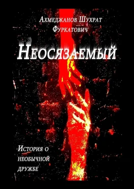 Шухрат Ахмеджанов Неосязаемый. История о необычной дружбе обложка книги