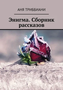 Аня Триббиани Энигма. Сборник рассказов обложка книги