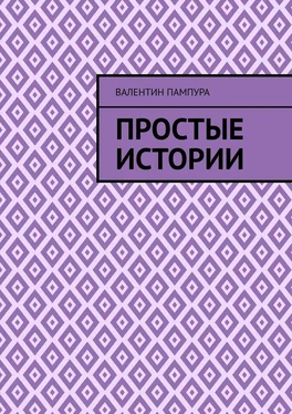 Валентин Пампура Простые истории обложка книги