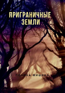 Полина Мишина Приграничные земли обложка книги