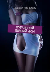 Джеймс Мак-Канли - Публичный первый дом