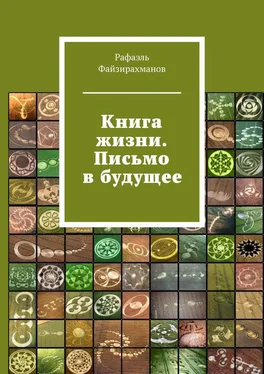 Рафаэль Файзирахманов Книга жизни. Письмо в будущее обложка книги