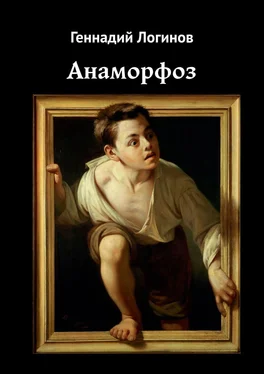 Геннадий Логинов Анаморфоз обложка книги