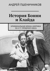 Андрей Пшеничников - История Бонни и Клайда. Криминальная драма Америки 30-х гг. прошлого века