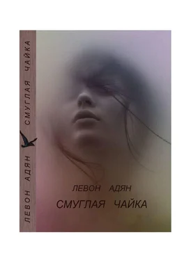 Левон Адян Смуглая чайка. Рассказы, повести обложка книги