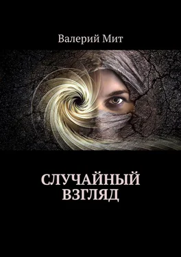 Валерий Мит Случайный взгляд обложка книги