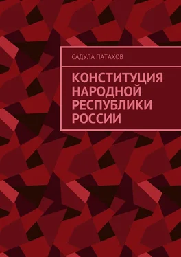 Садула Патахов Конституция Народной Республики России обложка книги