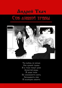 Андрей Ткач Сок лунной травы обложка книги