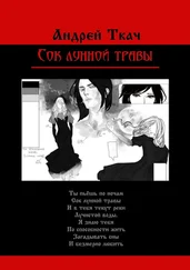 Андрей Ткач - Сок лунной травы