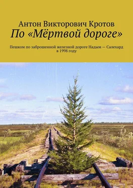 Антон Кротов По «Мёртвой дороге». Пешком по заброшенной железной дороге Надым – Салехард в 1998 году обложка книги