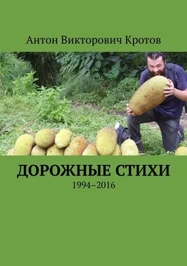 Антон Кротов Дорожные стихи. 1994–2016 обложка книги