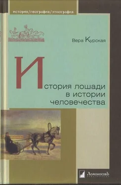 Вера Курская История лошади в истории человечества обложка книги