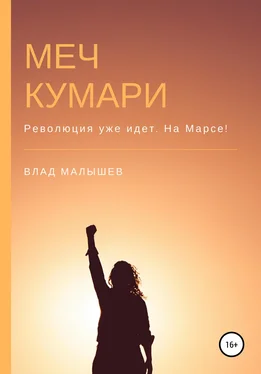 Влад Малышев Меч Кумари обложка книги