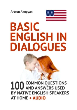 Artsun Akopyan Basic English in Dialogues. 100 Common Questions and Answers Used by Native English Speakers at Home + Audio обложка книги