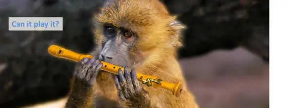 Itis a cute monkey Do you like it I like it The monkey is holding a flute - фото 12