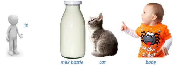 Aprende las palabras it eso milk leche bottle botella milk bottle - фото 4