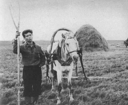 Страда на колхозном лугу Шуточная сценка Три богатыря Слева направо Борис - фото 18