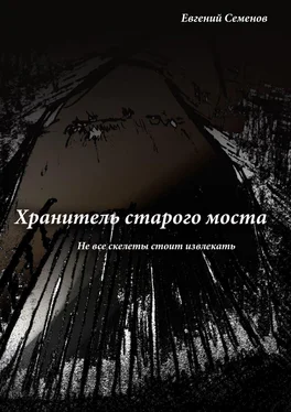 Евгений Семенов Хранитель старого моста. Не все скелеты стоит извлекать обложка книги