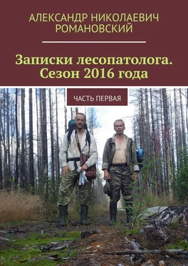 Александр Романовский Записки лесопатолога. Сезон 2016 года. Часть первая обложка книги