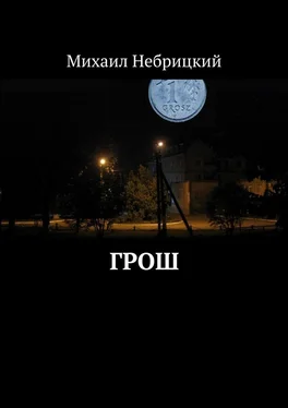 Михаил Небрицкий Грош обложка книги