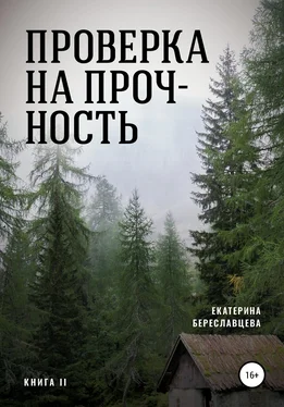 Екатерина Береславцева Проверка на прочность обложка книги