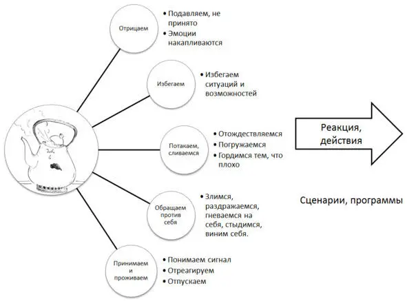 А что если встретить ежа как друга Рассмотреть внимательно что он принес на - фото 18